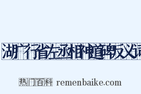 湖广行省左丞相神道碑反义词是什么意思的图片
